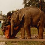 protect and preserve