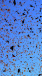 good migrations